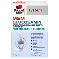 DOPPELHERZ MSM Glucosamin system Kapseln